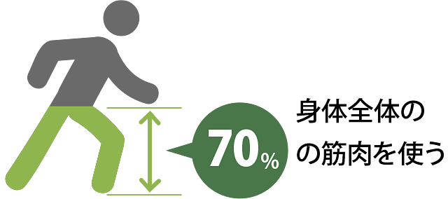 身体全体の70%の筋肉を使う